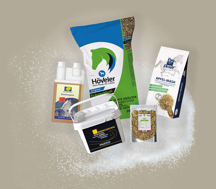 equovis motiv 720x630